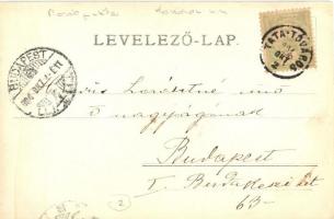 1904 Máriapuszta (Tata, Tata-Tóváros); szüretre összegyűlt família a kertben, növények öntözése, kut...