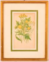 2 db régi, virágokat ábrázoló nyomat üvegezett keretben 36x28 cm