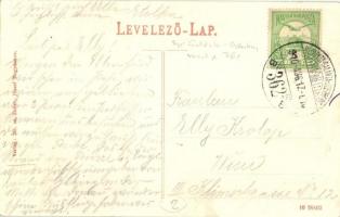 1910 Verőce, Nógrádverőce; Dunaparti rész, villa. Kiadja Zoller József 253. sz. + Budapest-Galánta-O...