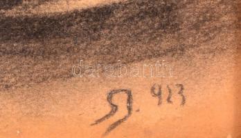 SJ jelzéssel: Fülbevalós női fej. Szén, papír, üvegezett keretben, 34×28 cm