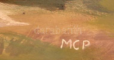 MCP jelzéssel: Vízparti táj. Olaj, farost, keretben, 30×60 cm