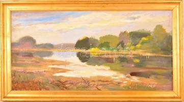 MCP jelzéssel: Vízparti táj. Olaj, farost, keretben, 30×60 cm
