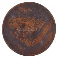 Vincze Pál (1907-1994) DN "Dr. Grünwald Sanatorium Budapest" Br emlékérem (34,01g/45mm) T:...