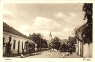 Tolcsva, Fő utca, Református templom