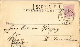 1899 Sopron, Oedenburg; Várkörút, Mihály templom, Deák tér, Széchenyi szobor és tér, Soproni Győri (...