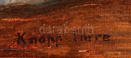 Knopp Imre (1867-1945): Lány könyvvel. Olaj, karton, jelzett, keretben, 90×70 cm