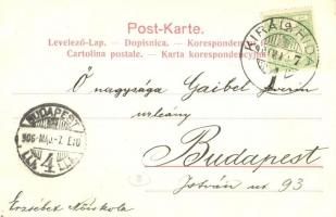 1906 Királyhida, Bruckújfalu Tábor, Brucker Lager, Bruckneudorf; Milchhalle. Verlag Alex J. Klein 65...