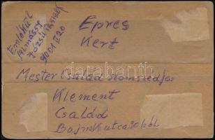 cca 1900 Előkelő pár kutyákkal a budapesti Epreskertben, keményhátú fotó, a hátoldalon feliratozva, ...
