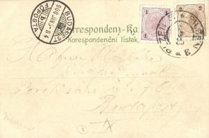 1900 Plzen, Pilsen; Pilsner Urquell Bürgerl. Brauhaus / brewery, coat of arms. Postkartenverlag Hug ...