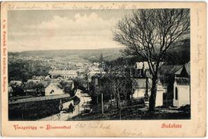 1901 Budakeszi, Virágvölgy. Hatschek Emil kiadása 4. sz. (EK)