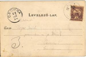 1901 Budakeszi, Virágvölgy. Hatschek Emil kiadása 4. sz. (EK)