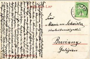 1912 Bábolnapuszta, Gazdasági ménes a Kisbábolnán (EK)