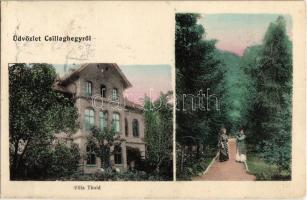 1918 Budapest III. Csillaghegy, Villa Thold, park részlet