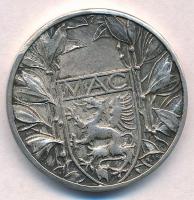 ~1900. "Magyar Athletikai Club 1875" jelzett Ag érem (17,37g29mm) T:2 kis patina