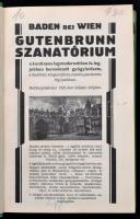 Lloyd útikönyvek: Ausztria. Képekkel és térképekkel. Bp., 1929. Lloyd. Egészvászon kötésben, szép ál...