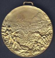 I.V.H. osztrák-magyar "I.Ferenc József-II.Vilmos császár" aranyozott Br katonai érdemérem ...