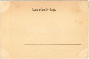 Budapest I. Ferenc József nevelőintézet, torna és vívó terem, belső. Ilona utca (ma Szabó Ilonka u. ...