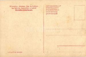 Lesik a repülőgépet. Osztrák-magyar katonák légvédelmi ágyúval (Flieger-Abwehrkanone). "Oroszlá...