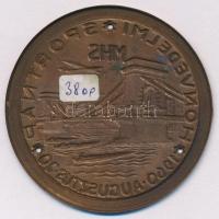 1960. "MHS Honvédelmi Sportnap - 1960. augusztus 20." préselt Al lemezérem (63mm) T:2