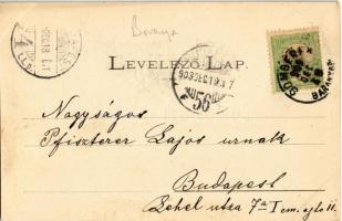 1903 Somberek, látkép keletről, görög katolikus templom, kastély. Herman Mihály kiadása