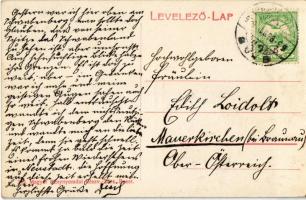 1909 Budapest II. Fogaskerekű vasútállomás és Friedman J. fogaskerekű állomás vendéglője, belső vasu...