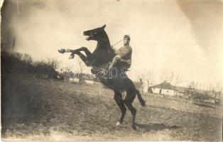 1914 Osztrák-magyar katona töri be a lovat / WWI Austro-Hungarian K.u.K. military soldier tames a horse. photo (EK)