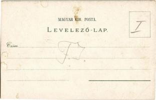 1903 Keszthely, Festetics palota, Hullám és Balaton szálloda, fürdő. Mérei Ignác kiadása, floral, Ar...