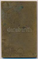 ~1924. "Pénzintézeti Sportegyletek Szövetsége - 1923/24. I." Br díjplakett (48x75mm) T:2