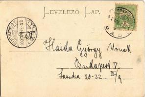 1902 Zimony, Semlin, Zemun; Fő utca, Friedmann üzlete, Kávéház / Hauptgasse, Cafe Brüder / main stre...