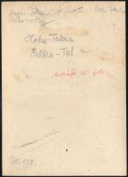 cca 1910 Magas-Tátra, Felka-völgy, Erdélyi Mór felvétele, hátulján feliratozva, 11,5×16 cm /

cca ...