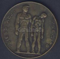 1947. "S.A.S." Br emlékérem. Szign:Loósz József T:2 ph