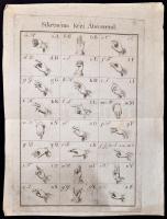 cca 1800 Siketnéma kézi Ábécérend. Rézmetszet. 19,5x30 cm