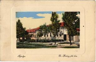 1912 Topolya, Bácstopolya, Backa Topola; Dr. Hadzsy János-féle ház, létra. W. L. Bp. 3239. Riesz Béla kiadása / mansion house, villa, ladder