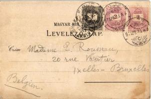 1897 (Vorläufer!) Fiume, Rijeka; Corso, Von Tersatto, vom Hafen / street, view from Trsat and the ha...