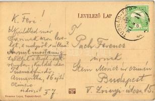 1911 Tusnádfürdő, Baile Tusnad; Anna Villa, Brunner Lajos Bazára és saját kiadása / villa, street, b...