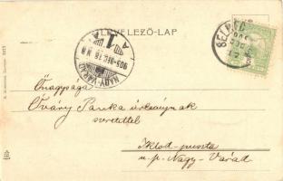 1905 Hortobágy, Juh ól a Hortobágyon, racka juhok, folklór. R. Mosinger 3377