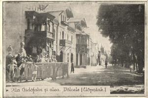 Előpatak, Valcele; Vila Gidófalvi si alea / Fő sétány, Gidófalvi és Goldstein villa / promenade, villas (EB)