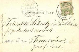 Algyógy, Geoagiu; látkép. Adler fényirda / general view