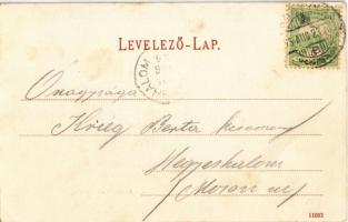 1905 Pöstyén, Pistyan, Piestany; Átkelés a Vág folyón komppal. Lampl Gyula kiadása / Überfuhr an der...