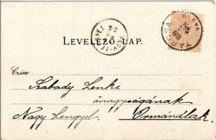 1899 Tarcsa, Tatzmannsdorf; Carolina és Mária villa, Schweitzi ház, Gyógyudvar, Forrás épület, Colon...