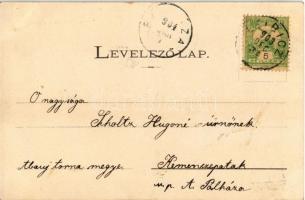 1904 Leibic, Leibitz, Lubica; Híd utca, Kénfürdő, Sas szálloda. Fábry Gusztáv kiadása / Bruckgasse, ...