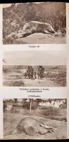 Kittenberger Kálmán: Kelet-Afrika vadonjaiban. Bp., 1955, Ifjúsági Könyvkiadó. Első kiadás. Kiadói f...