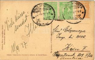 1927 Lacu Sarat (Braila), Statia Tramvaiuului Electric la intrarea in Lacul-Sarat / Electric tram st...