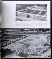 Vegyes könyvtétel, 3 db:

 Fitz Jenő: Gorsium. A táci római kori ásatások. Székesfehérvár, 1970, I...