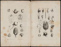 cca 1870-1890 Vegyes illusztráció tétel, 5 db: közte 3 db a M. Kir. Földtani Intézet évkönyvéből szá...