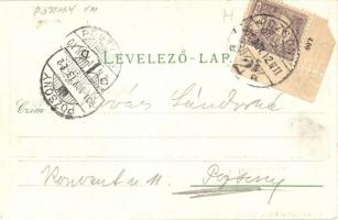 1901 Pozsony, Pressburg, Bratislava; Posonium anno 1709. Schneider & Lux 4004a / castle