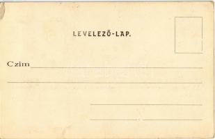 Trencsén, Trencín; Erzsébet szálloda, vár a háttérben. Gansel Lipót 258. sz. / hotel, castle in the ...