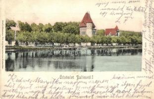 1912 Palics, Palic (Szabadka, Subotica); fürdő, nyaraló. Kiadja Heumann Mór / spa, villa