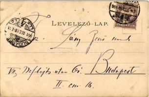 1901 Pozsony, Pressburg, Bratislava; vár / castle. Kuenstlerpostkarte No. 2565. von Ottmar Zieher li...