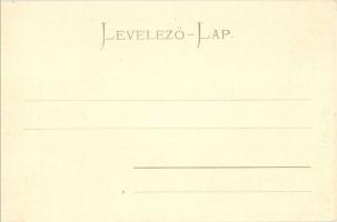 Budapest V. Ferenc József rakpart, Magyar Tudományos Akadémia, uszályok